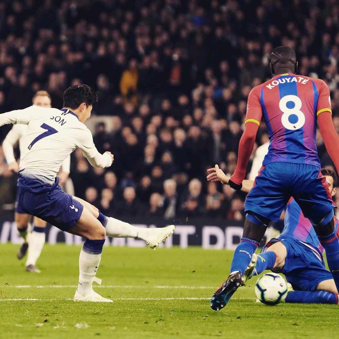 可能会显得 可能会显得